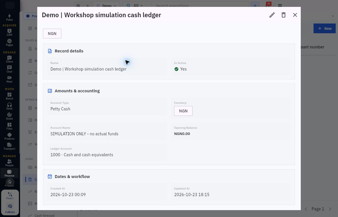 Existing Demo simulation cash account with type, currency, opening balance and ledger relationship