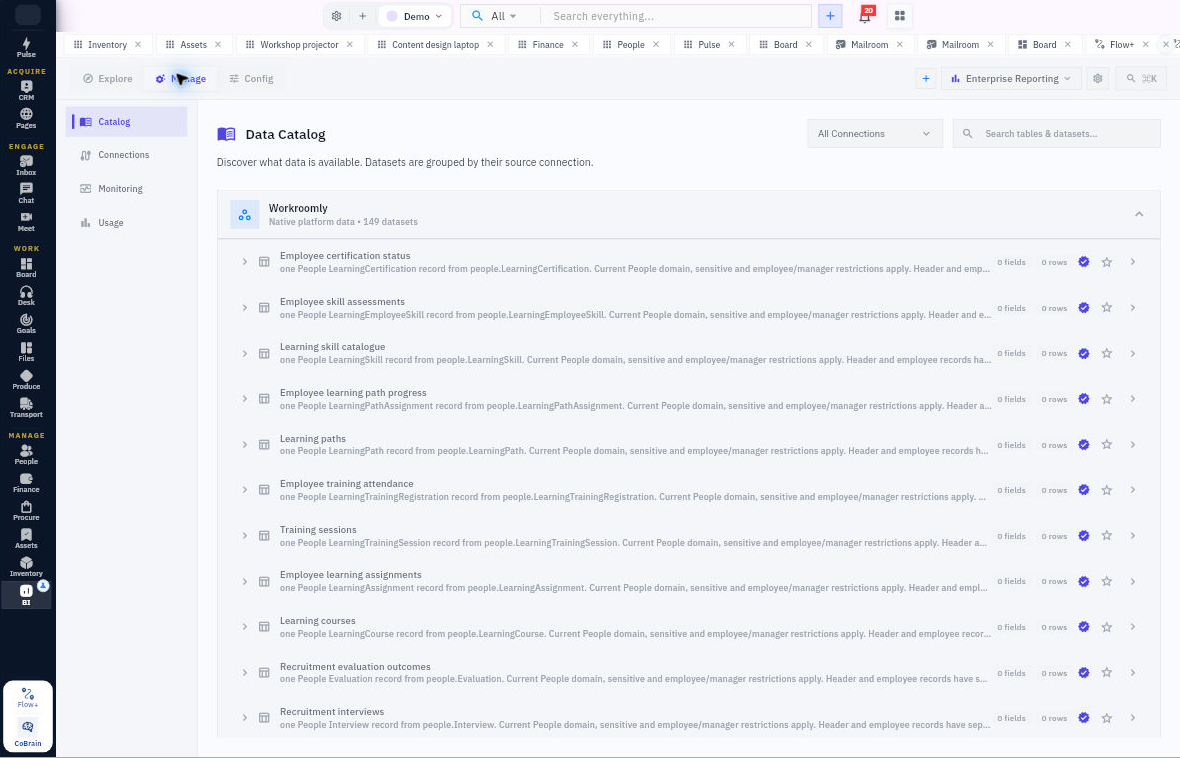 BI Manage → Catalog lists datasets with descriptions and field/row metadata. This Demo view illustrates where to inspect the source, not a populated report result.