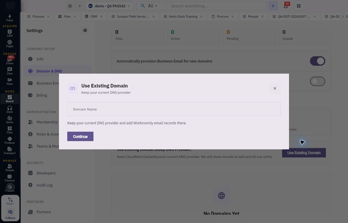 Use Existing Domain keeps the DNS provider and asks for the domain name, not a mailbox address.